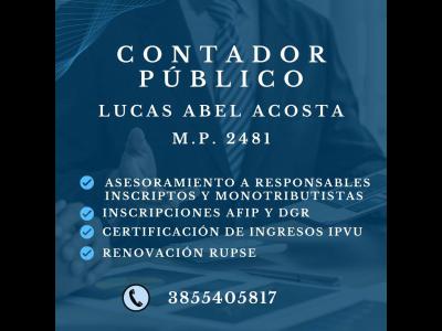 Profesionales  Contador pblico