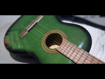 Varios Hobbies Guitarra Breyer para niños (ideal)
