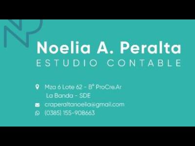 Profesionales Contador Pblico Estudio Contable Cra. Noelia A. Peralta